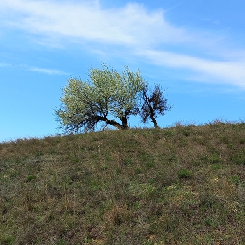 село Ерзовка (Волгоградская область) / ***