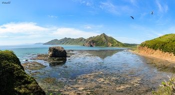 Бухта Тихая (Tikhaya Bay) / ***