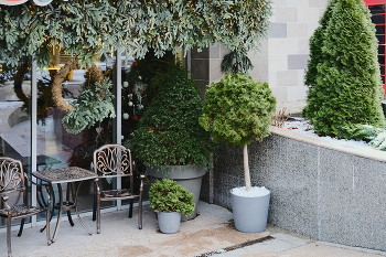 И был вечер, и было утро.... / ***