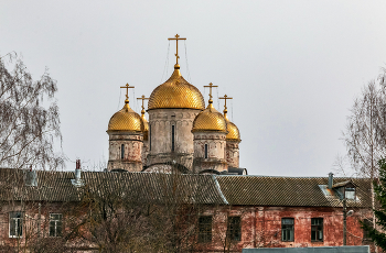 Купола... / Лужецкий Ферапонтов мужской монастырь.