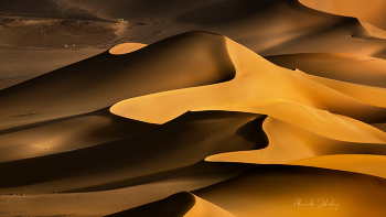 Вечерние дюны / Центральная Сахара