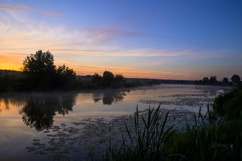 Летом, на рассвете. / Озеро Сосновое.