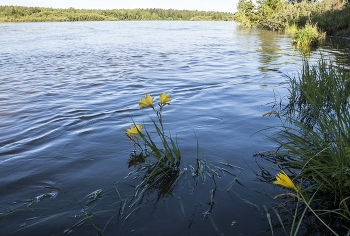 Большая вода / ***