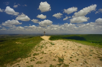 Дорога / В летней степи