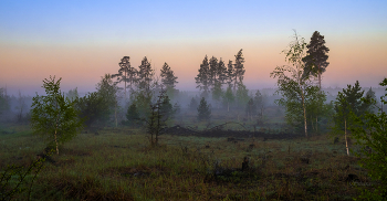 Весна. / ***