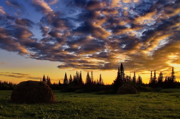 Вечерняя заря. / Томская область.