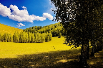 Жарким днём. / *Горный Алтай.**