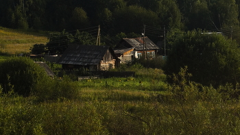 Подсолнухи. / Зенитар-М СССР.