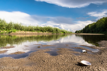 Солнечным днём у воды / Где - то