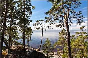 Далеко на Севере. / Остров в Белом море.