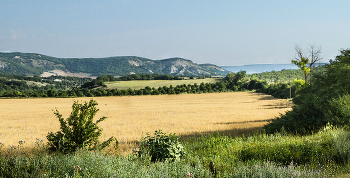 Посевные делянки / Крым