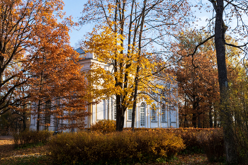 *Осень в Верхнем парке Ораниенбаума. / ***