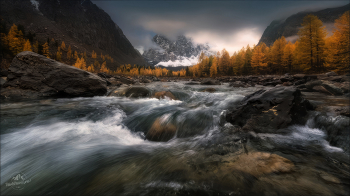 Осень в Актру / Горный Алтай.
Долина реки Актру.

© PHOTOTRAVEL.PRO