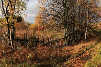 Пять соток осени / Клин