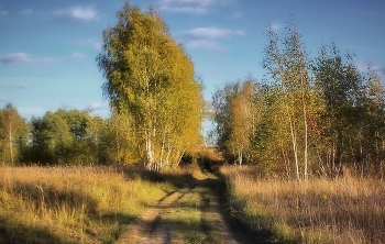 По августу просёлками. / Пригородный сюжет