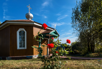 Родник... / Святой источник иконы Божей Матери живоносный источник в селе Степное Анненково в Ульяновской области