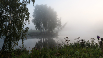 Туманное утро. / ***