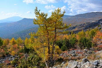 Осень в горах. / Осень в горах Северного Урала.