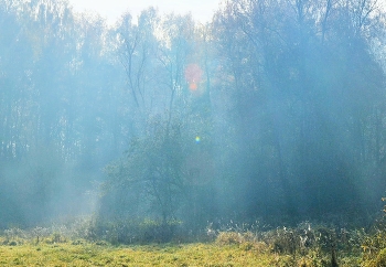 Утренняя атмосфера ... / ***