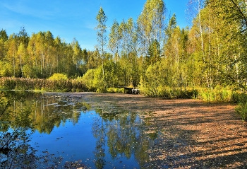 Осенний пруд ... / ***