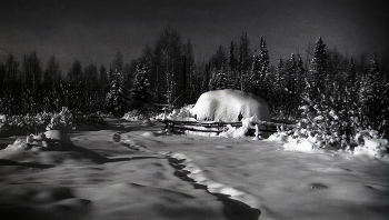 В зимнюю пору / 1971 год фотоплёнка ч\ б