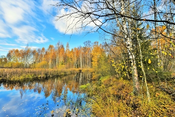 Осень ... / ***