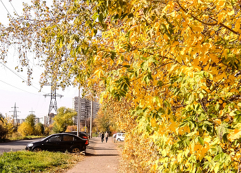 Осень в городе . / 01.10.2024 .