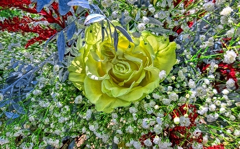 &nbsp; / Vila-seca - centre de flors - Tarragonès