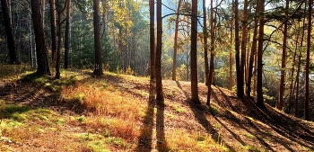 осеннее / новосибирск