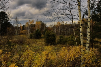 *Осенним днём.** / *Томская область.**