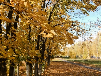 Осенний день / осень в городе