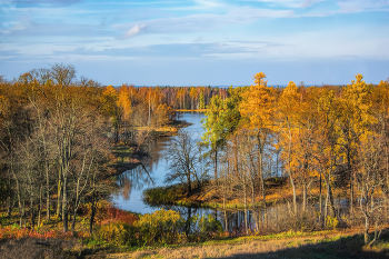 Осень в парке / Гатчина