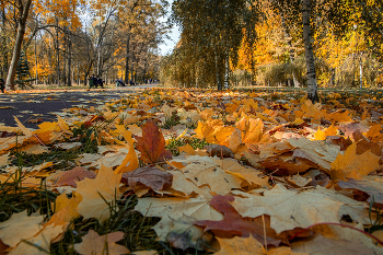 Краски осени. / осенний мотив