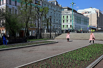 Гоголевский бульвар / Гоголевский бульвар в Москве. Апрель 2023.