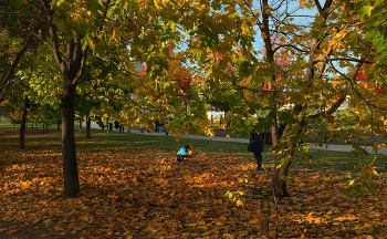 Осенние дни / Москва, Хомовники