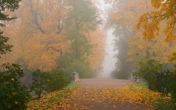 Утро / Александровский парк