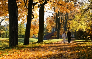 Осень / Александровский парк