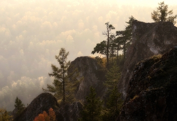 Такая осень / Торгашинский хребет