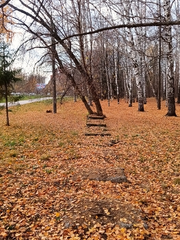 Осенью. / Прогулка по парку в октябре.