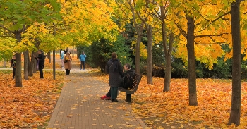 Дни осенние / Москва, Хамовники