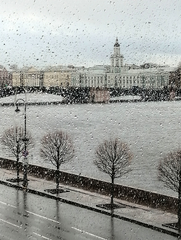 В Петербурге дождь / 31 октября