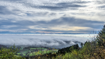 &nbsp; / nebel im rheintal