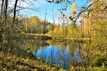 &quot;Это осень - пора увяданья, краткий миг красоты неземной...&quot; / &quot;Это осень - пора увяданья,
 Краткий миг красоты неземной,
 Перед снегом - пора расставанья
 С теплым летом, а лету - со мной ...&quot;
 Ю.Кручинин