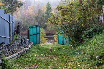 НЕПРЕДВИДЕННАЯ ВСТРЕЧА / ***