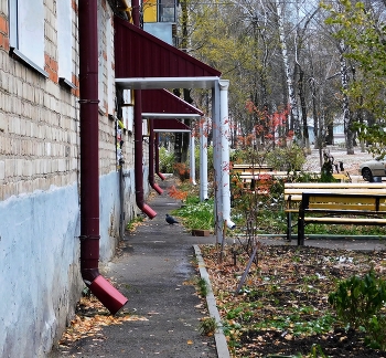 Городские виды в ноябре / ***