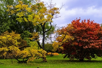 Colors of the Autumn / Latvian National Botanic Garden