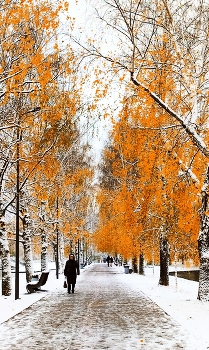 Поздняя осень / Москва, парк