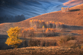 APUSENI / Румыния