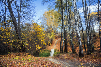 В осеннем парке / ***