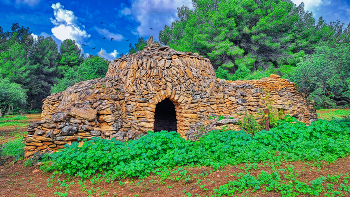 &nbsp; / Pla Sta. Maria - Ruta de la Capona (barraca de les oliveres) - Alt Camp